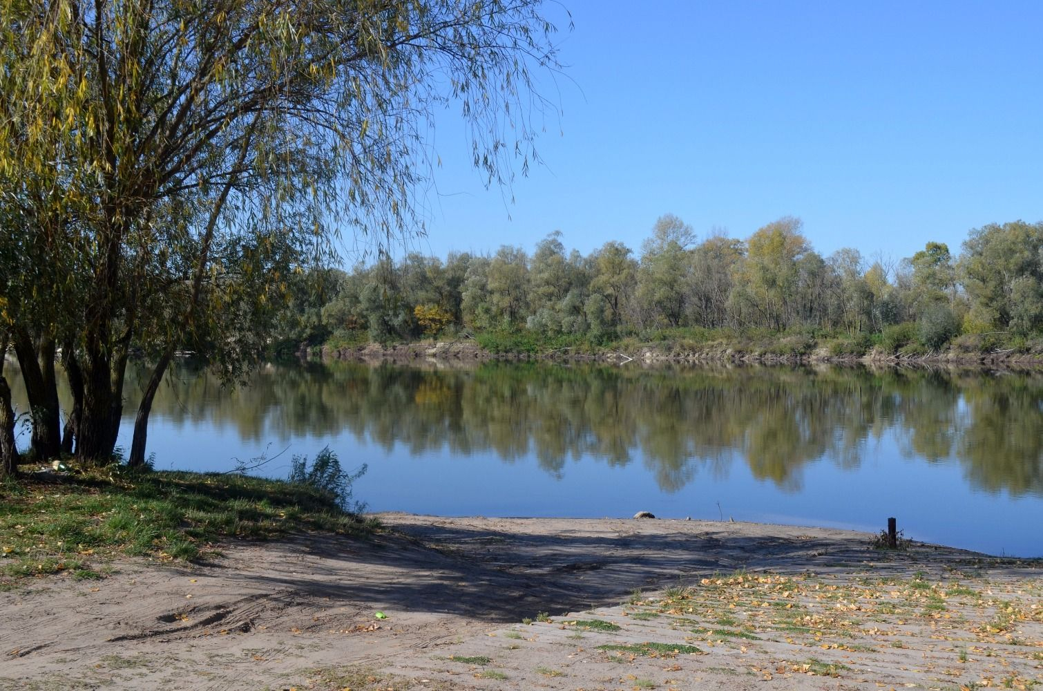 База десна брянск. База отдыха Десна Брянск. Река Летка. Летка (село). Парк правый берег десны Троицк.