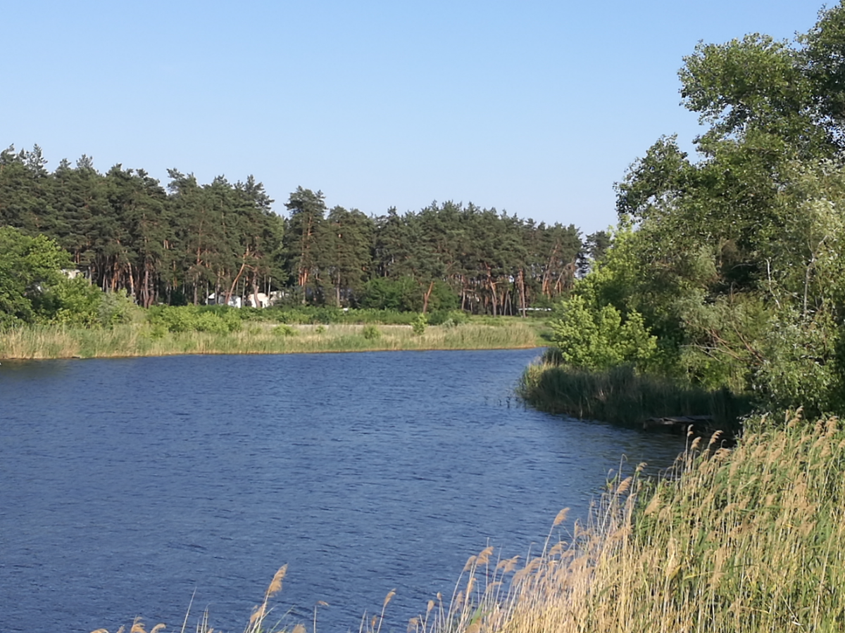 Орловщина. Орловщина Днепропетровская область. Село Орловщина Днепропетровская область. Днепр область Новомосковский район Орловщина. С Орловщина Новомосковский р-н Днепр. Обл..